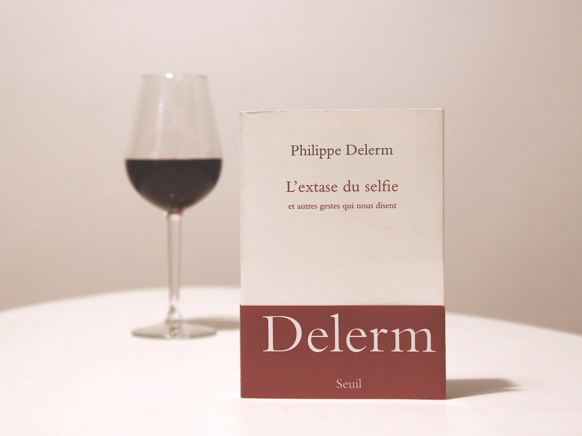 L&rsquo;extase du selfie – Philippe Delerm&nbsp;(2019)