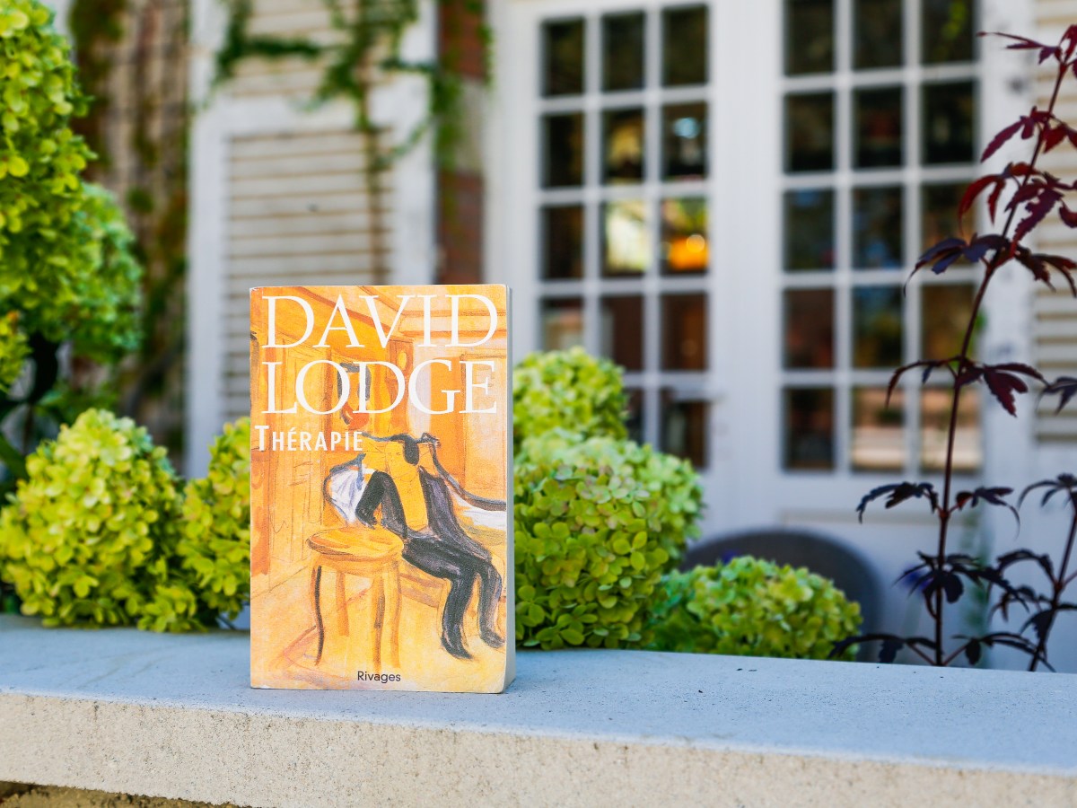Thérapie – David Lodge&nbsp;(1995)