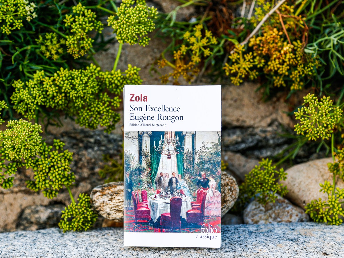 Son Excellence Eugène Rougon – Emile Zola&nbsp;(1876)