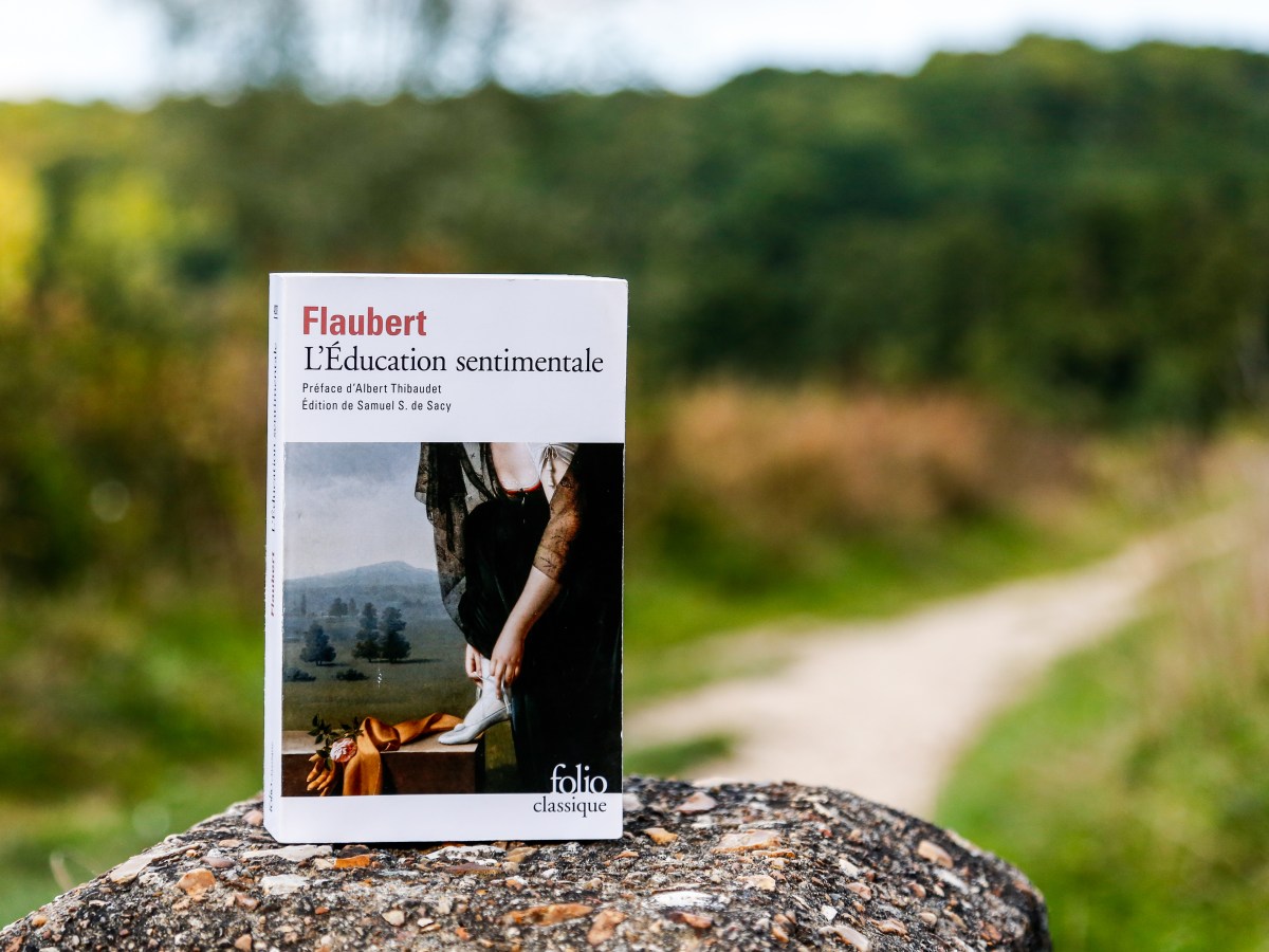 L&rsquo;Education sentimentale – Gustave Flaubert&nbsp;(1869)