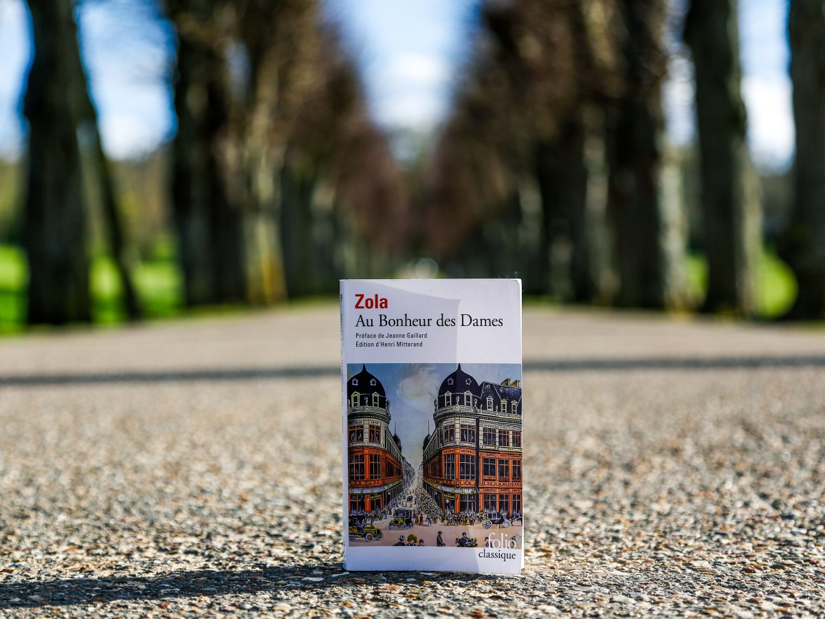 Au bonheur des dames – Emile Zola&nbsp;(1883)