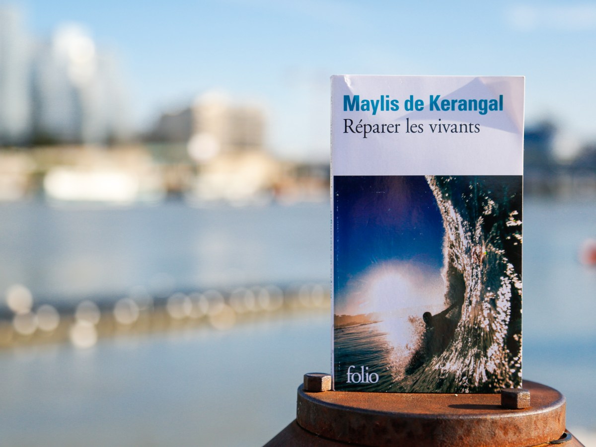 Réparer les vivants – Maylis de Kerangal&nbsp;(2013)