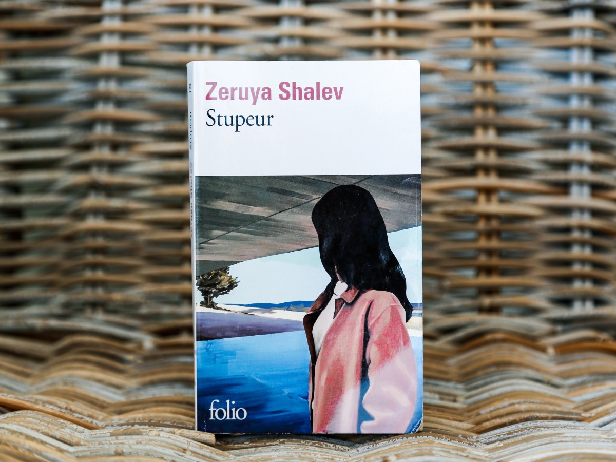 Stupeur – Zeruya Shalev&nbsp;(2023)