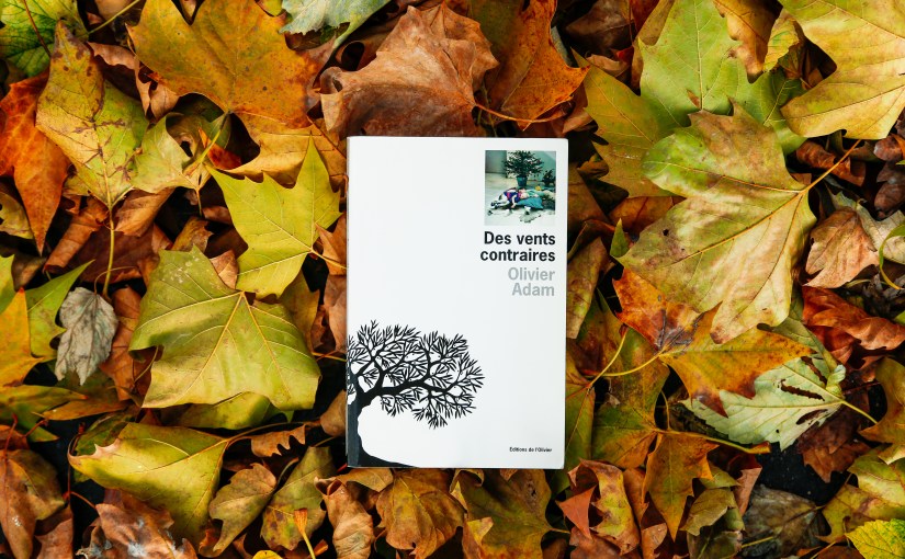 Des vents contraires – Olivier Adam&nbsp;(2008)