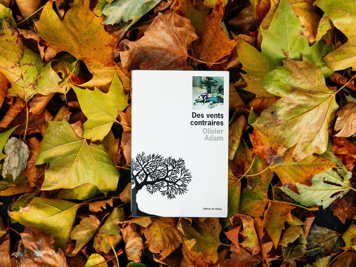 Des vents contraires – Olivier Adam&nbsp;(2008)