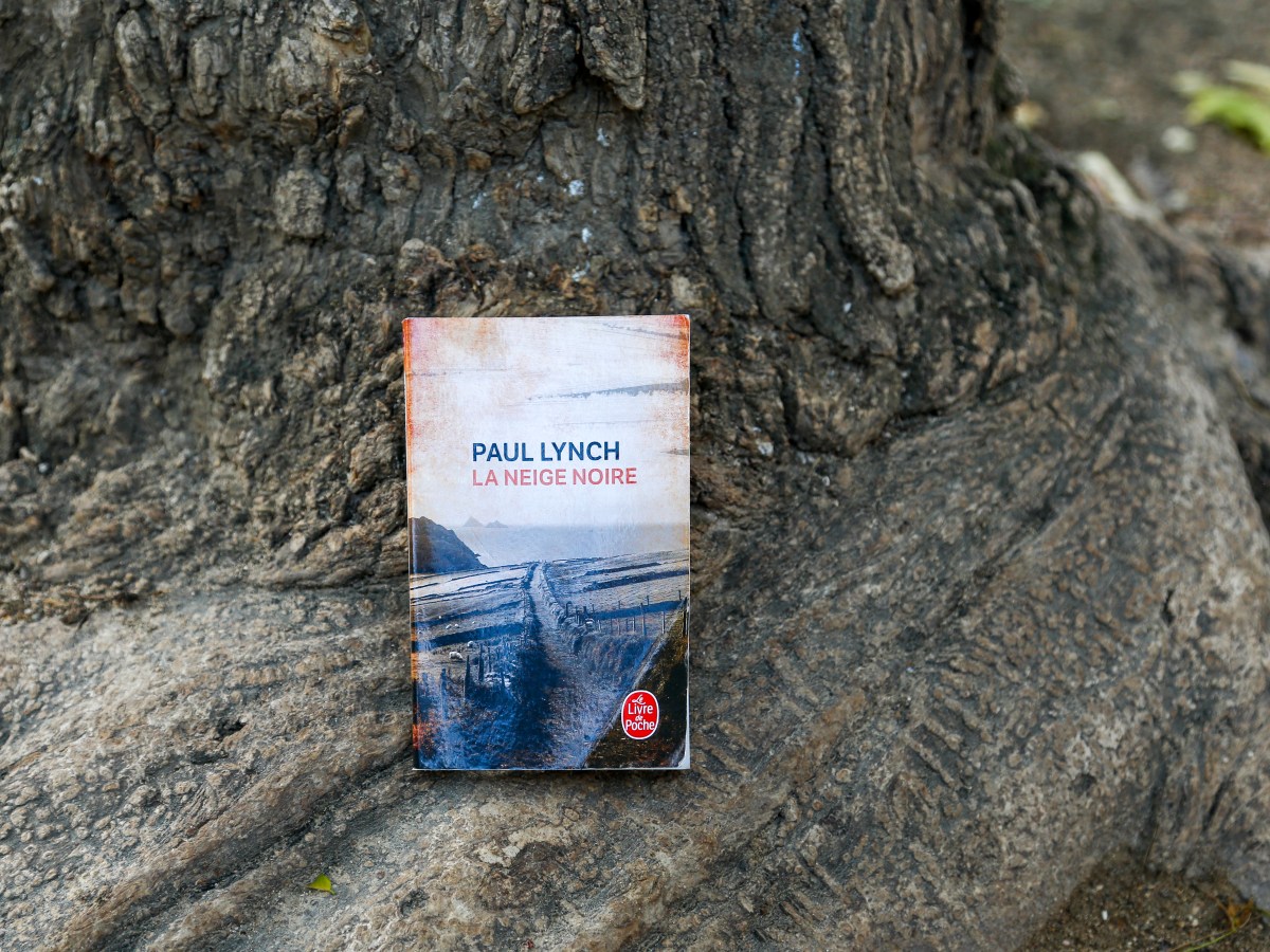 La neige noire – Paul Lynch&nbsp;(2015)
